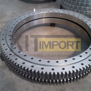 800300061