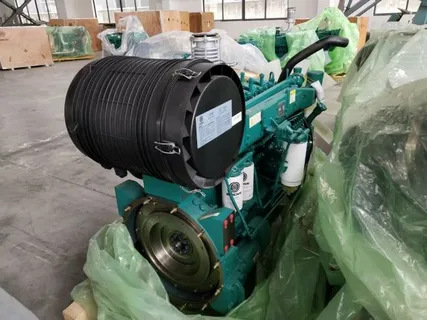 Двигатель Weichai WP12D317E200
