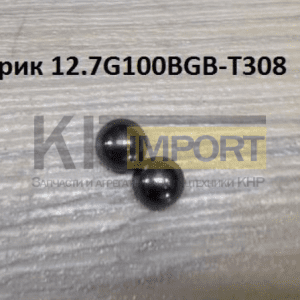 Шарик 12.7G100BGB-T308